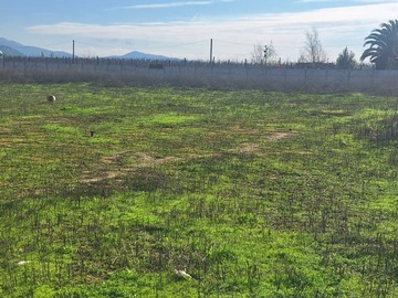 Parcela en venta en Venta Parcela Plana de 5.000m2, Viluco, Buin