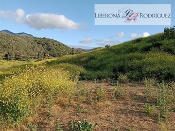 Venta / Terreno / Quillota