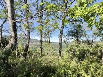 Sitio en venta en Maravillosa Parcela en sector El Pajal cercano a la comunas de Los Angeles camino a Antuco, Antuco