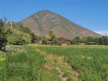 Parcela en venta en Camino lonquen Sur con Carampangue, colegio Trebulco, Isla de Maipo, Isla de Maipo
