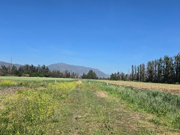 Parcela en venta en Santa Mariana, Talagante