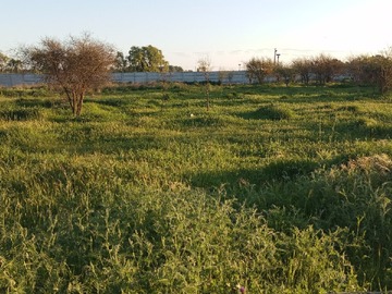 Parcela en venta en los leones lote 11, Linares