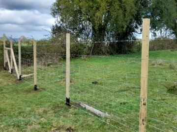Terreno en venta en Campo 7,4 Has en Río Bueno-Lago Ranco (64744), Valdivia