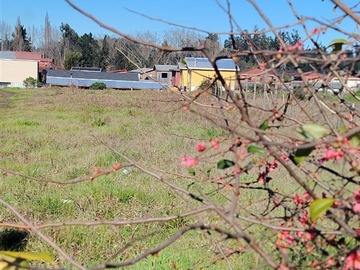 Terreno en venta en Tegualda con Avda Araucana amplio terreno c/luz, agua, Hualqui