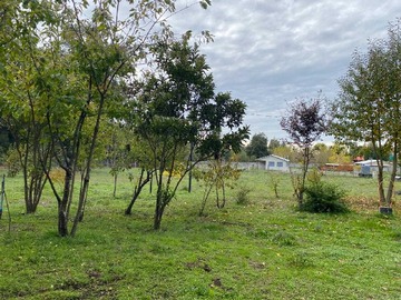 Terreno en venta en Se Vende Maravillosa Parcela de 1,0 ha (162827), Los Ángeles - 2 dormitorios, 3 baños