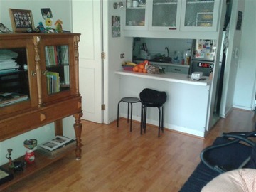 Departamento en arriendo mensual en Luis Thayer Ojeda/El Vergel, Providencia - 1 dormitorio, 1 baño
