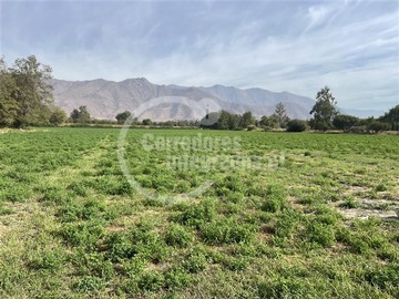 Terreno Agricola en venta en Auco - rinconada, Rinconada