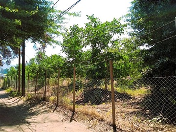 Parcela en venta en Camino la peña, Nogales
