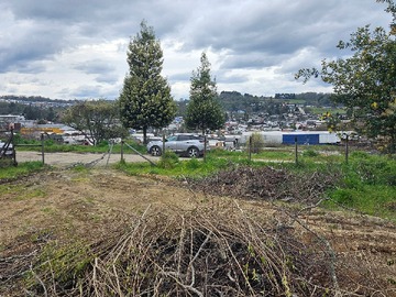 Venta / Terreno / Panguipulli