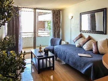 Departamento en arriendo mensual en Full amoblado y equipado, vista despejada (102278), Providencia - 1 dormitorio, 1 baño
