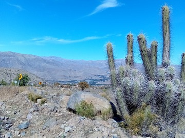 Terreno en venta en Vendo Terreno en La Totorita San Isidro (114059), Vicuña