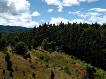 Terreno en venta en Parcelas en condominio, con bosque y acceso c (168031), Temuco