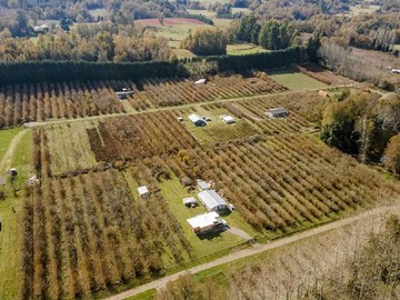Terreno en venta en Parcela con acceso a laguna, luz y agua (112351), Villarrica