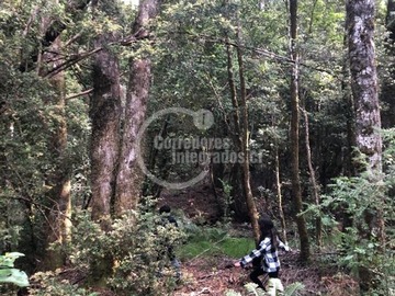 Parcela en venta en Ruta 7, Quillaipe, Puerto Montt, Los Lagos, Chile, Puerto Montt, Los Lagos, Puerto Montt