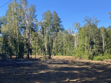 Parcela en venta en Villarrica, Villarrica