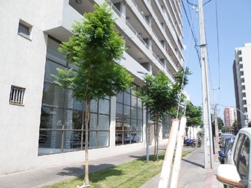 Departamento en venta en Nataniel Cox 1313, Santiago, Región Metropolitana de Santiago 8320000, Chile, Santiago - 2 dormitorios, 2 baños