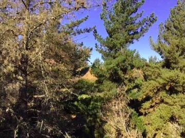 Parcela en venta en Fundo Santa Julia de Reñaca - Hacienda Concon Bajo, Viña del Mar