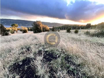 Terreno Agricola en venta en Camino a Pureo, Queilén