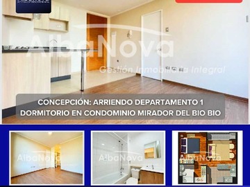 Arriendo Mensual / Departamento / Concepción