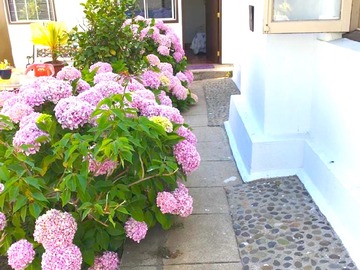Arriendo Mensual / Estudio / Viña del Mar