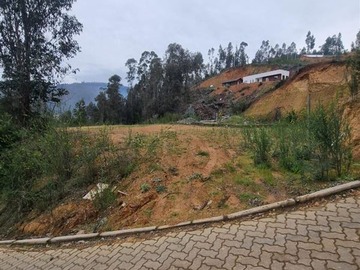 Sitio en venta en Ruta de la madera Km 17 aprox, Coronel