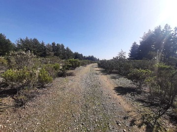 Terreno Industrial en venta en 10 mil m2 de terreno industrial (74615), Viña del Mar