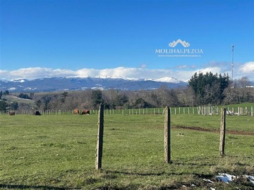 Terreno Agricola en venta en Curacautín, Curacautín