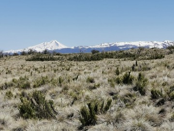 Parcela en venta en Parcela 41 A, Lonquimay
