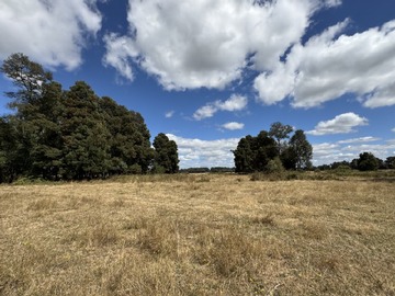 Terreno Agricola en venta en Freire, Freire