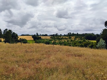 Parcela en venta en Villarrica, Villarrica