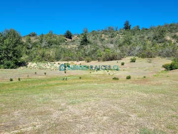Parcela en venta en Melosilla, Casablanca