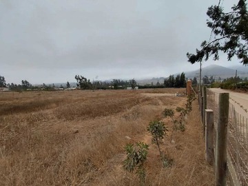Terreno en arriendo mensual en Arriendo terreno en Altovalsol (174977), La Serena