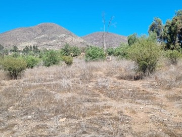Parcela en venta en En venta parcela plana localidad carcamo 29.000m2, Illapel