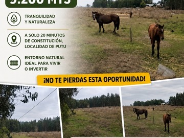 Parcela en venta en Putu, Constitución