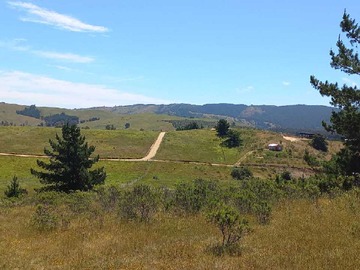 Terreno en venta en Cabaña en Parcela de 5.000mt2 en Bucalemu (162379), Paredones