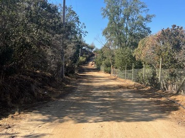 Venta / Parcela / Curacaví