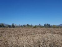 Sitio en venta en Carretera del Cobre, Machalí
