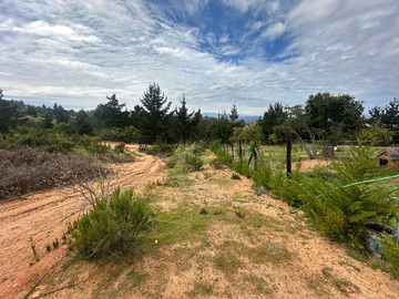 Parcela en venta en Los Coligües, Casablanca