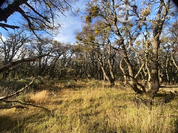 Parcela en venta en Ruta Y-530 Km 22 y 10 km desde la ruta hacia Punta Prat, Punta Arenas