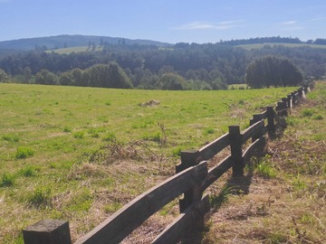 Venta / Terreno / Panguipulli