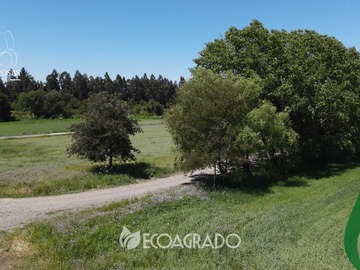 Venta / Terreno / Chillán