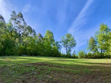 Sitio en venta en Maravillosas Parcelas en sector El Pajal / 63 km de Los Angeles/ ruta Q-45, Antuco
