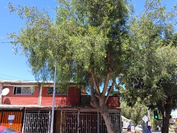 Casa en venta en Casa Esquina Apta para Comercio, Calle Topocalma, Renca - 2 dormitorios, 1 baño