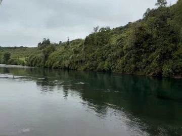Terreno en venta en Entorno Natural (142503), Río Bueno