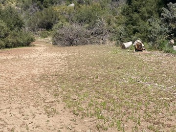 Sitio en venta en Los maitenes, ubicada en el sector lo marín, Til til