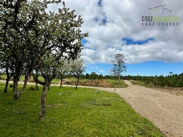 Terreno Agricola en venta en Camino a Pargua, Maullín