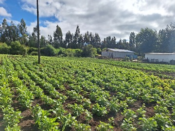 Terreno Agricola en venta en Camino de los ángeles a santa barbara km 7.5, Los Ángeles