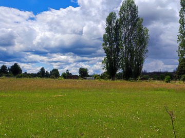 Terreno en venta en Santa Juana - Huallerehue, Santa Juana
