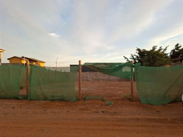 Sitio en venta en Sitio plano en Pichidangui, Los Vilos