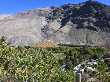 Terreno Agricola en venta en Paihuano, Paihuano